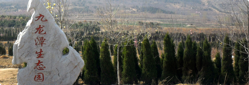 Nine Lungtan ecological park panorama